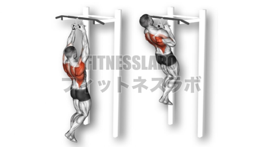 Close grip chin-up | FITNESSLABO