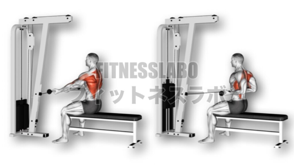 リバースグリップシーテッドロウ #reverse grip seated row | フィットネスラボ