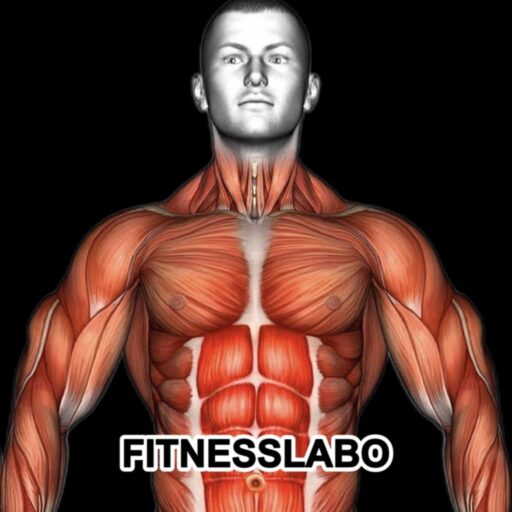 FITNESSLABO